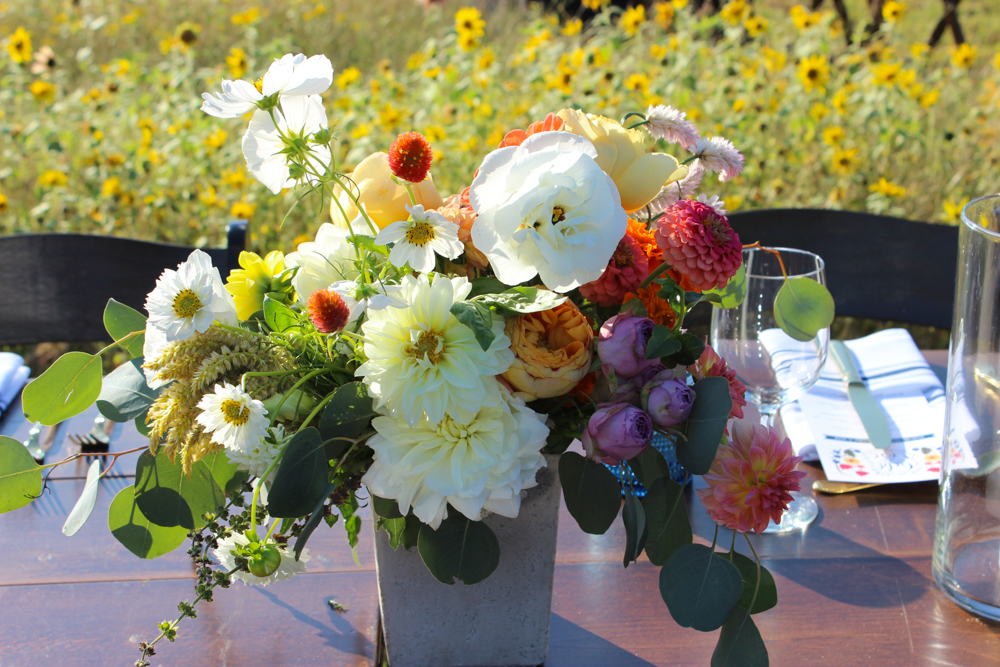 certified american grown, local flowers, slow flowers, field to vase, field to vase dinner tour, summer flowers
