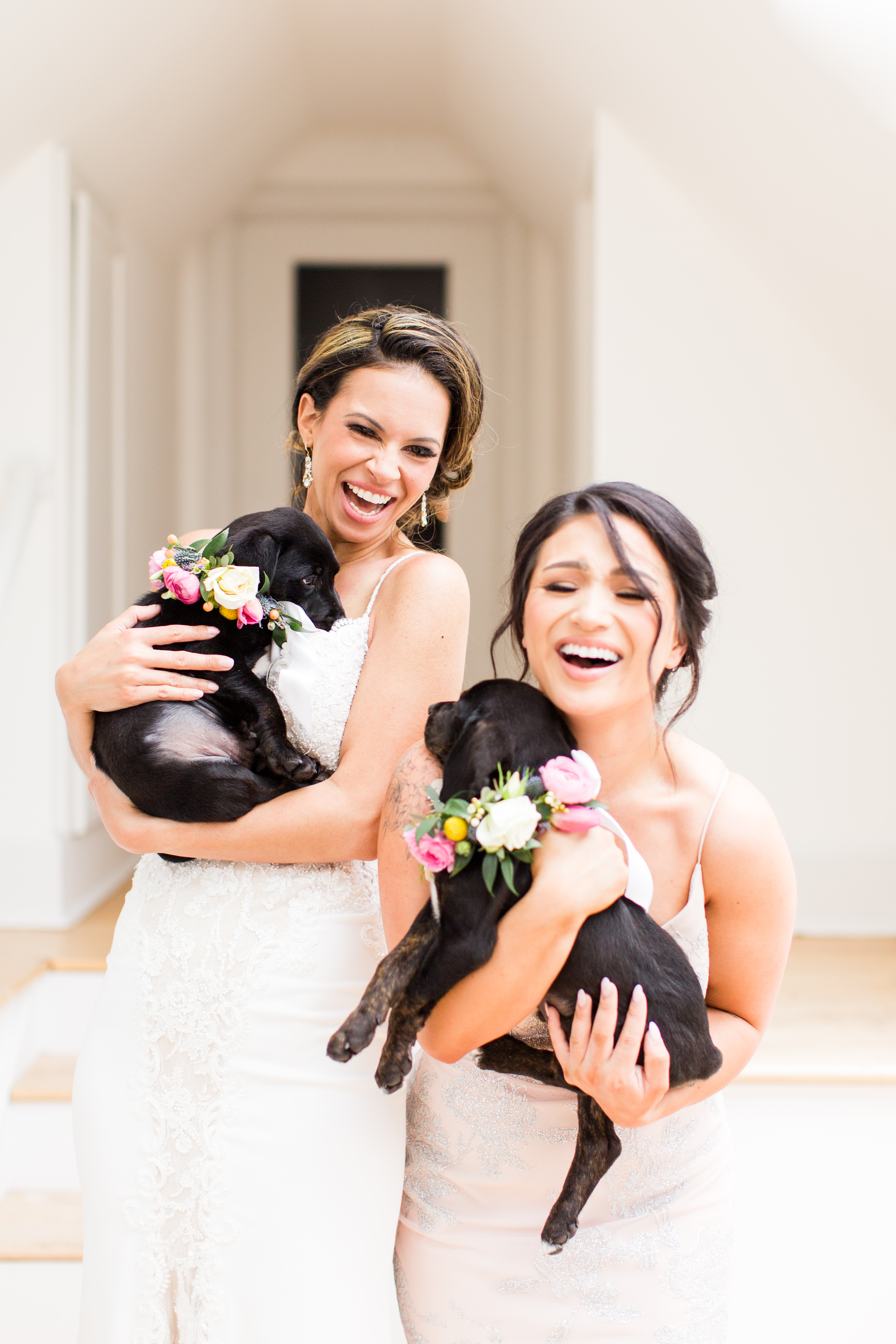 Puppy Love Photo Shoot at House of White Bridal with dogs from Warrick Humane Society and floral necklaces by Emerald Design