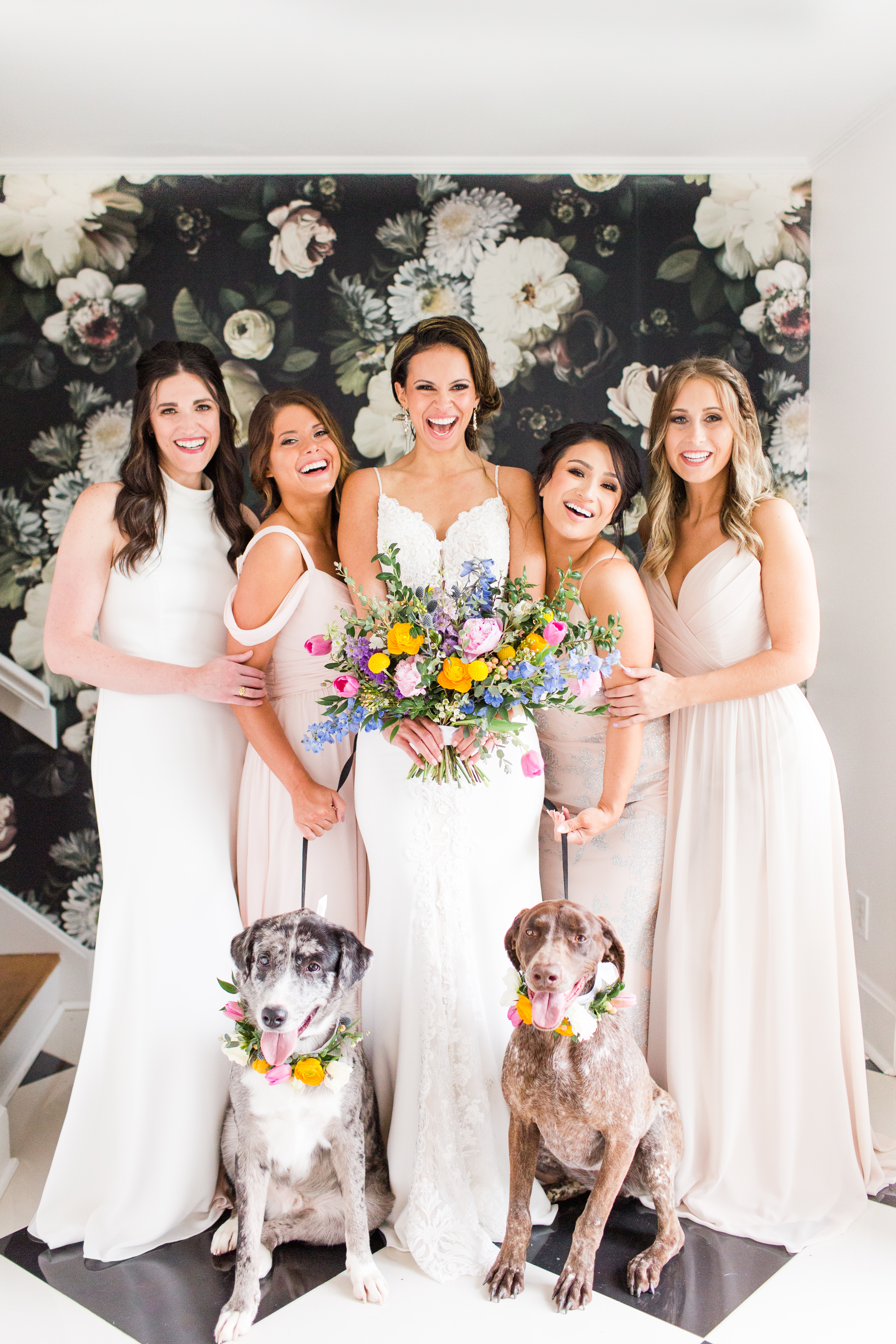 Puppy Love Photo Shoot at House of White Bridal with dogs from Warrick Humane Society and flowers by Emerald Design