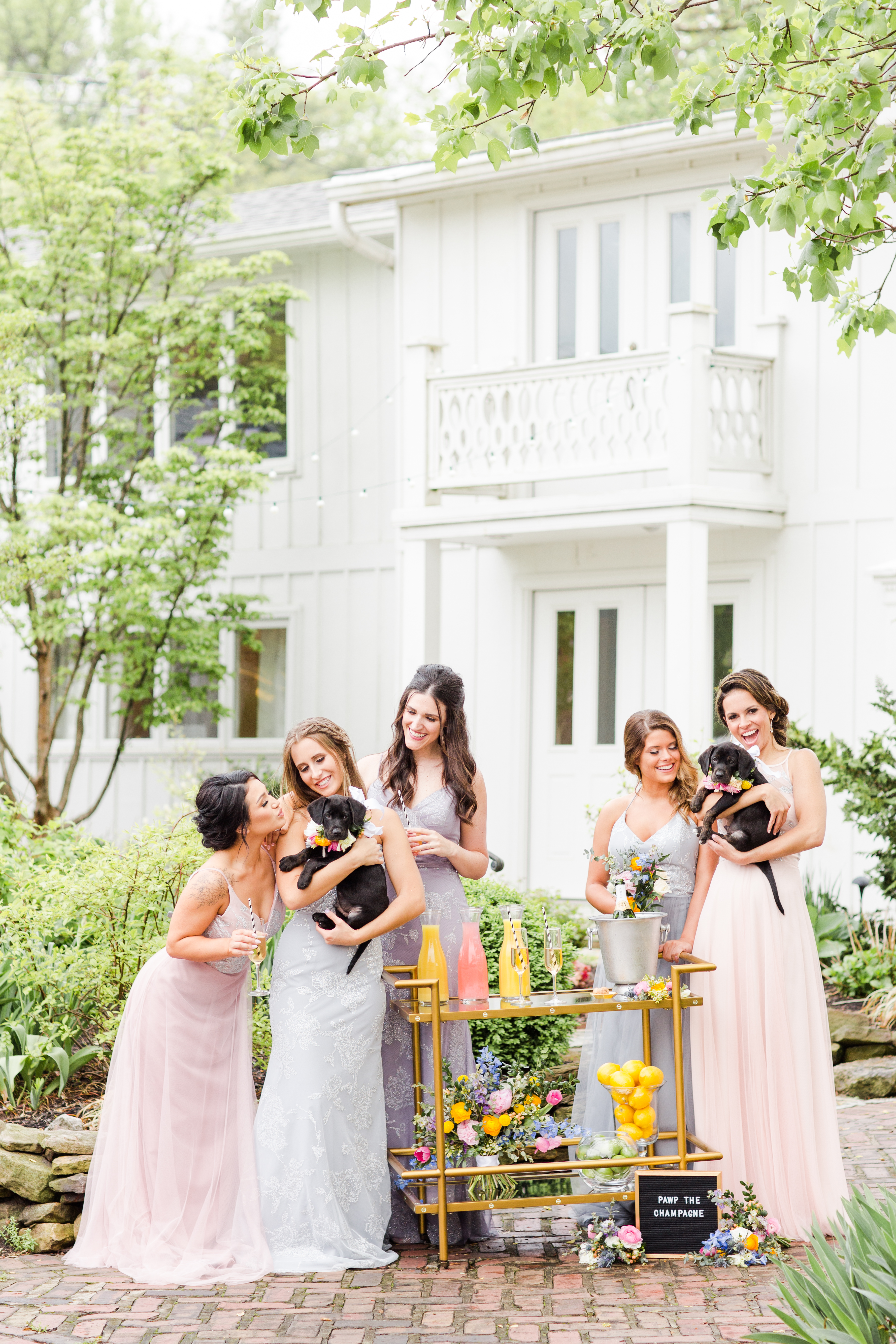 Puppy Love Styled shoot at House of White Bridal in Newburgh Indiana featuring dogs from the Warrick Humane Society and flowers from Emerald Design